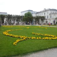 Marathon Salzburg 2017