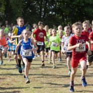 Straßenlauf Wernberg 2017