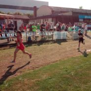 Straßenlauf Wernberg 2017