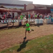 Straßenlauf Wernberg 2017