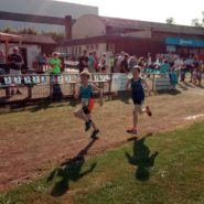 Straßenlauf Wernberg 2017