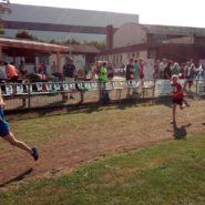 Straßenlauf Wernberg 2017