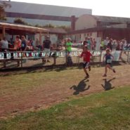 Straßenlauf Wernberg 2017