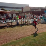 Straßenlauf Wernberg 2017